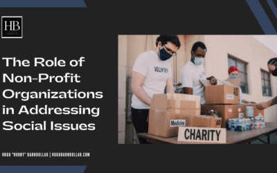 The Role of Non-Profit Organizations in Addressing Social Issues